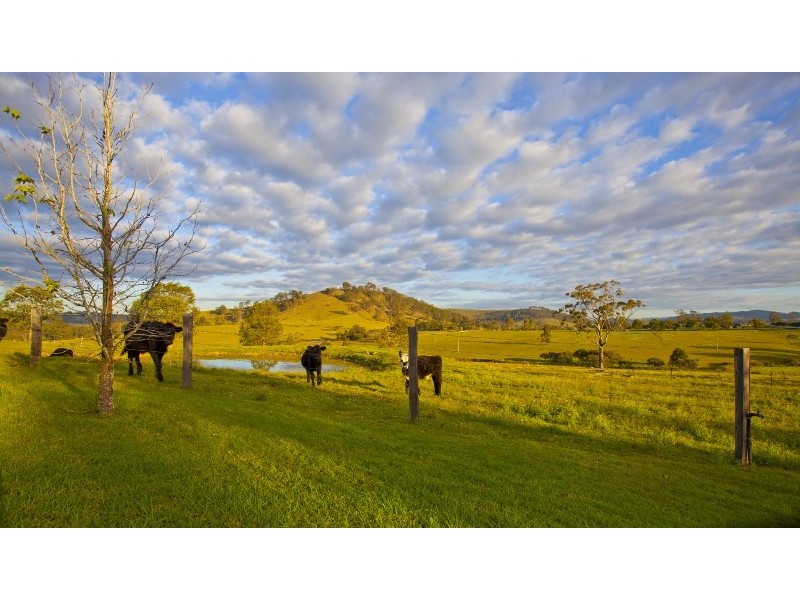 39 Wade Street, Dungog NSW 2420