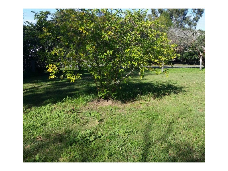 22 Mary Street, Dungog NSW 2420