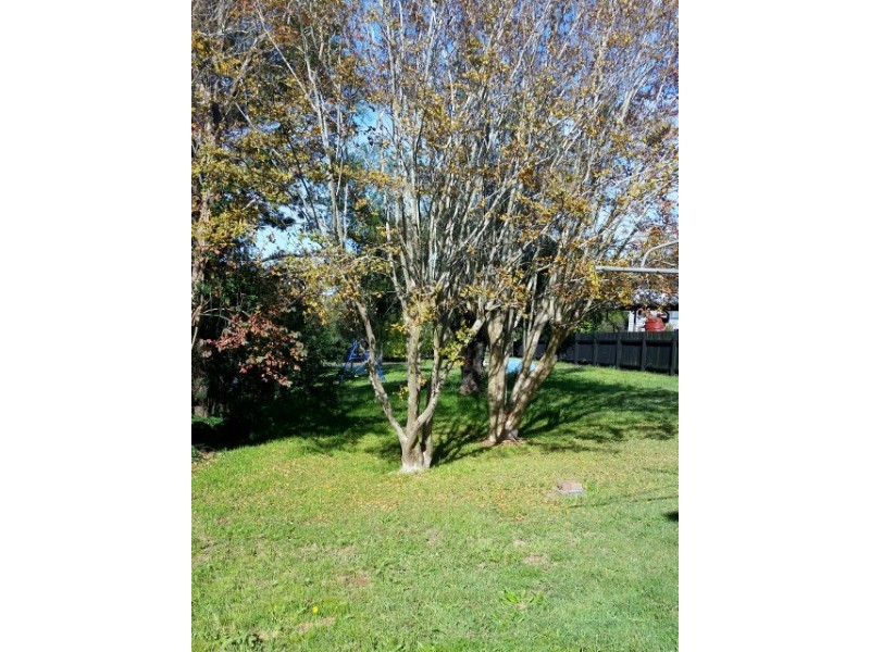 22 Mary Street, Dungog NSW 2420