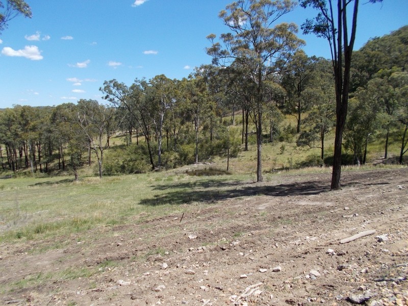 Lot 213 Boulton Drive, Paterson NSW 2421