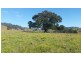Lot 11 Hanleys Creek Rd, Dungog NSW 2420