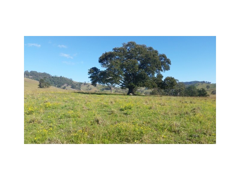 Lot 11 Hanleys Creek Rd, Dungog NSW 2420