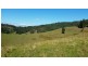 Lot 11 Hanleys Creek Rd, Dungog NSW 2420