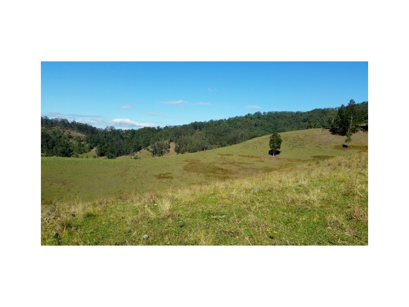 Lot 11 Hanleys Creek Rd, Dungog NSW 2420