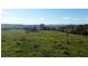 Lot 11 Hanleys Creek Rd, Dungog NSW 2420