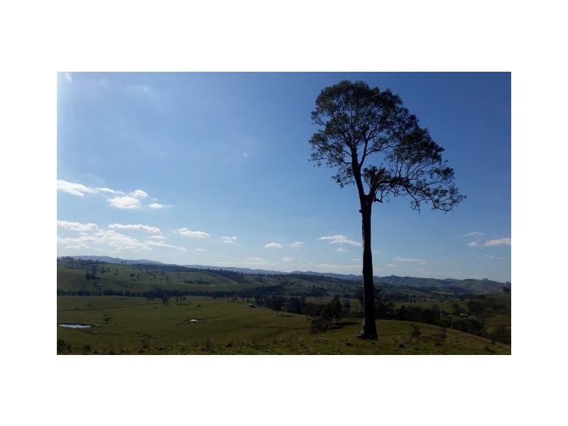 Lot 11 Hanleys Creek Rd, Dungog NSW 2420