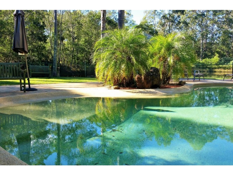 Lot 14/1953 Chichester Dam Road, Bandon Grove NSW 2420