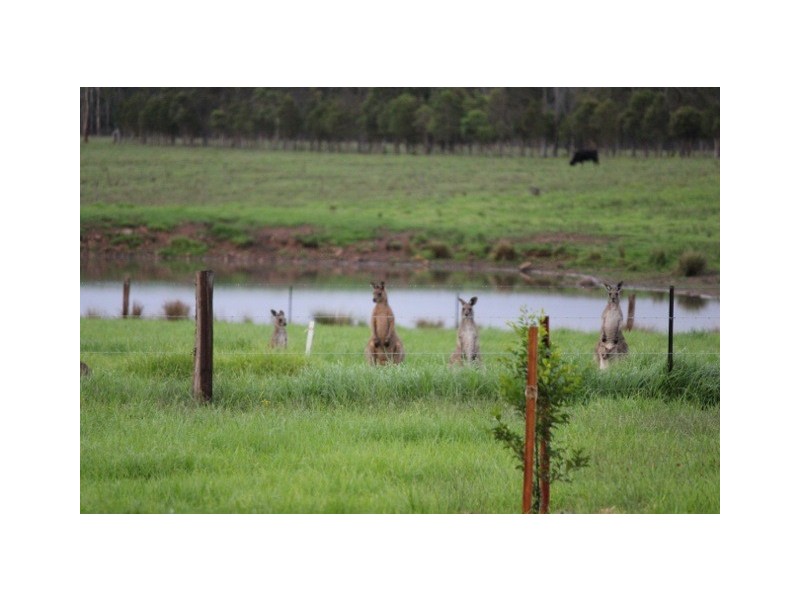 Lot 102 Limeburners Creek Road Boat falls Estate, Clarence Town NSW 2321