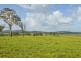 Nelsons Plains NSW 2324