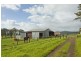 Nelsons Plains NSW 2324