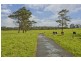 Nelsons Plains NSW 2324