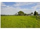 Nelsons Plains NSW 2324