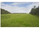 Nelsons Plains NSW 2324