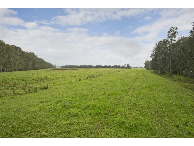 Nelsons Plains NSW 2324