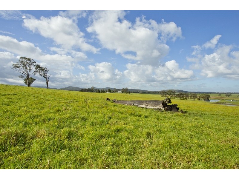 Nelsons Plains NSW 2324
