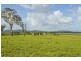 Nelsons Plains NSW 2324