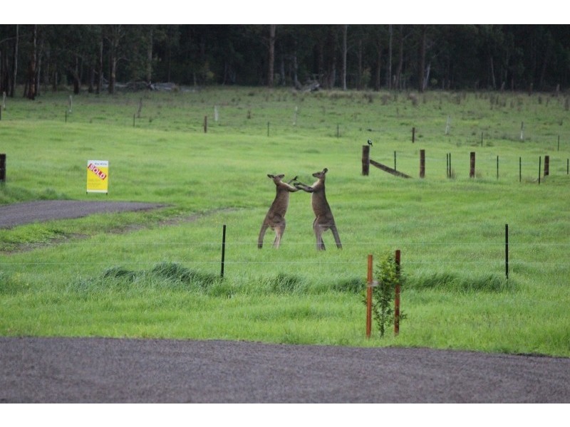 Lot 201 Limeburners Creek Road Boat falls Estate, Clarence Town NSW 2321