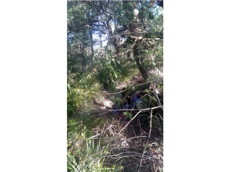 55 Fords Road, Clarence Town NSW 2321