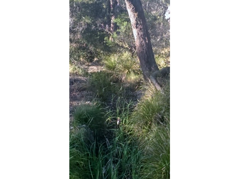 55 Fords Road, Clarence Town NSW 2321