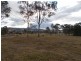 637 Brookfield Road, Wallarobba NSW 2420