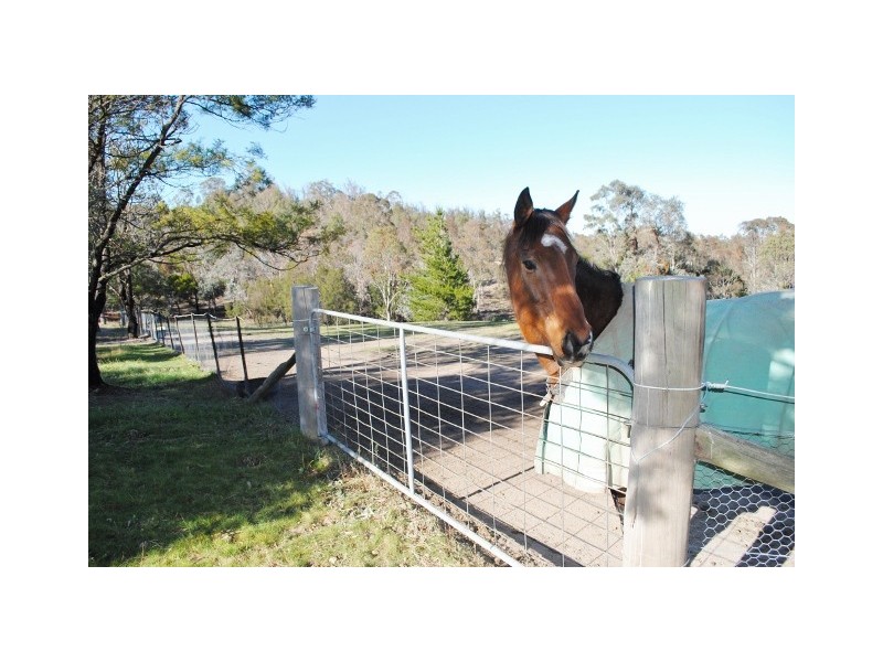 1340 Brayton  Road, Big Hill NSW 2579