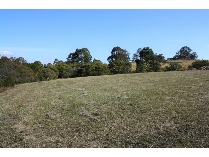 Lot 3005 Oxbow Place ‘Riverdowns Estate’, Clarence Town NSW 2321