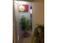7/36 Campbell Street, Wollongong NSW 2500