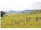 708 Maitland Vale Road, Maitland NSW 2320