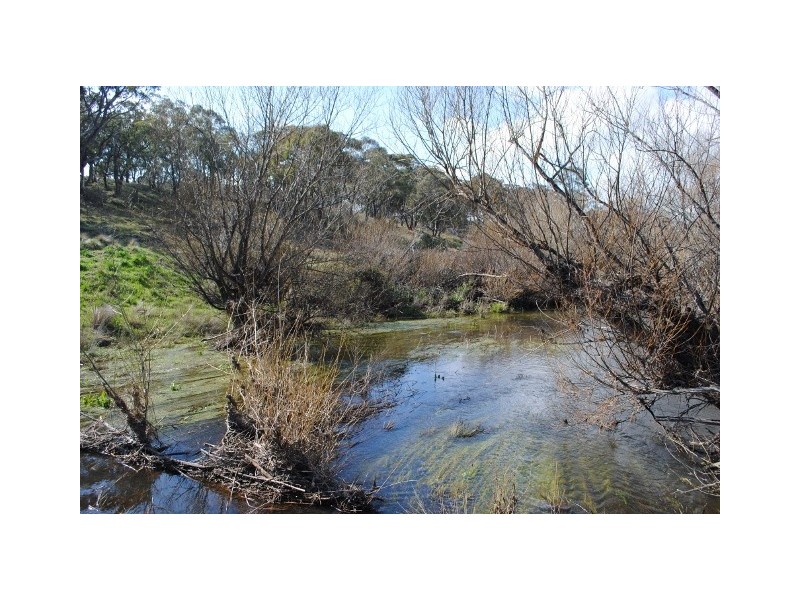 1224 and 1238 Brayton  Road, Big Hill NSW 2579