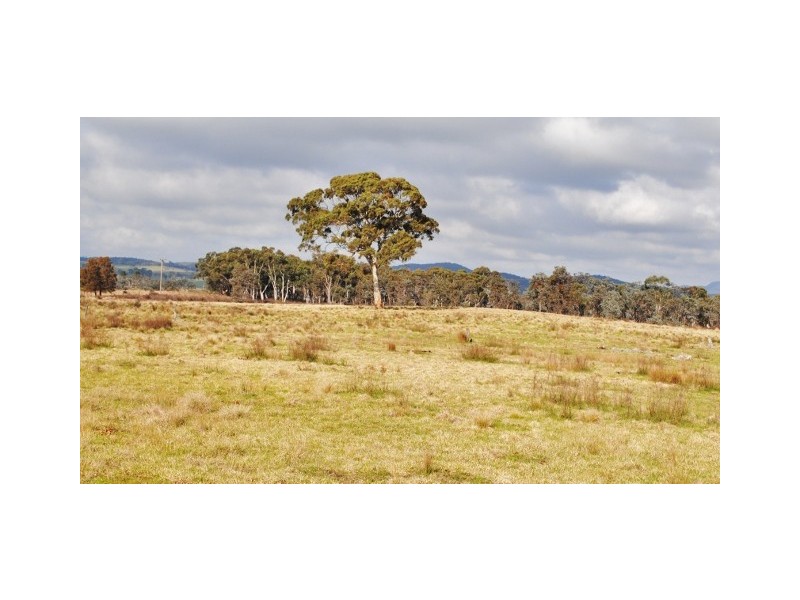 1224 and 1238 Brayton  Road, Big Hill NSW 2579