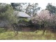 1224 and 1238 Brayton  Road, Big Hill NSW 2579