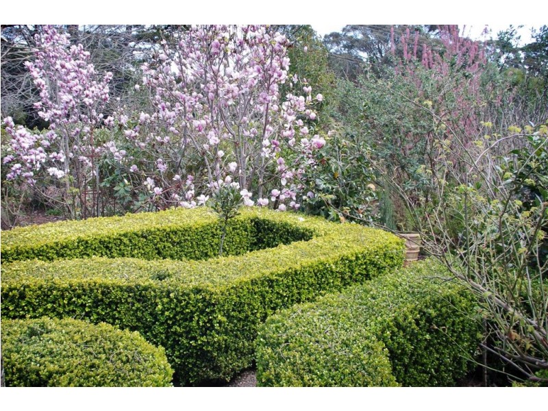485 Wildes Meadow Road, Wildes Meadow NSW 2577