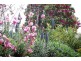 485 Wildes Meadow Road, Wildes Meadow NSW 2577