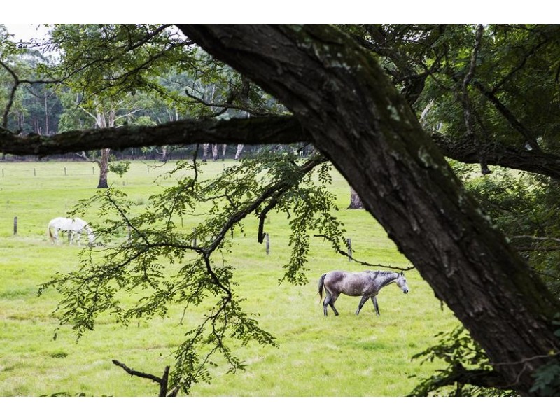 103 Stannix Park Lane, Wilberforce NSW 2756
