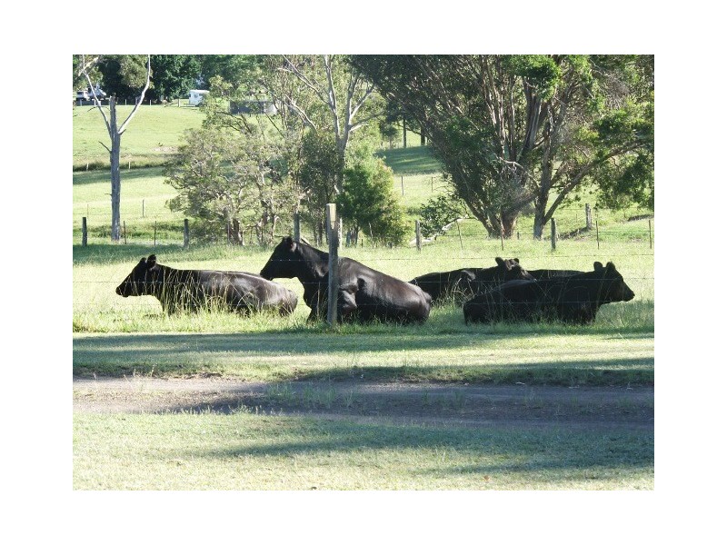 333 Alison Road, Dungog NSW 2420