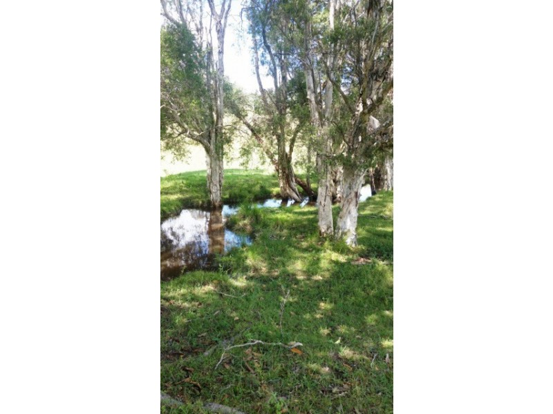 333 Alison Road, Dungog NSW 2420