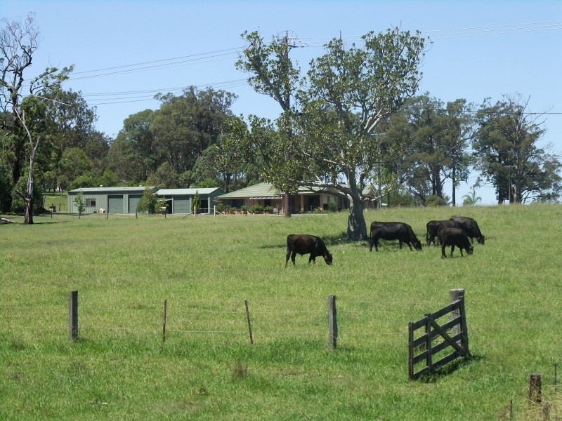 333 Alison Road, Dungog NSW 2420