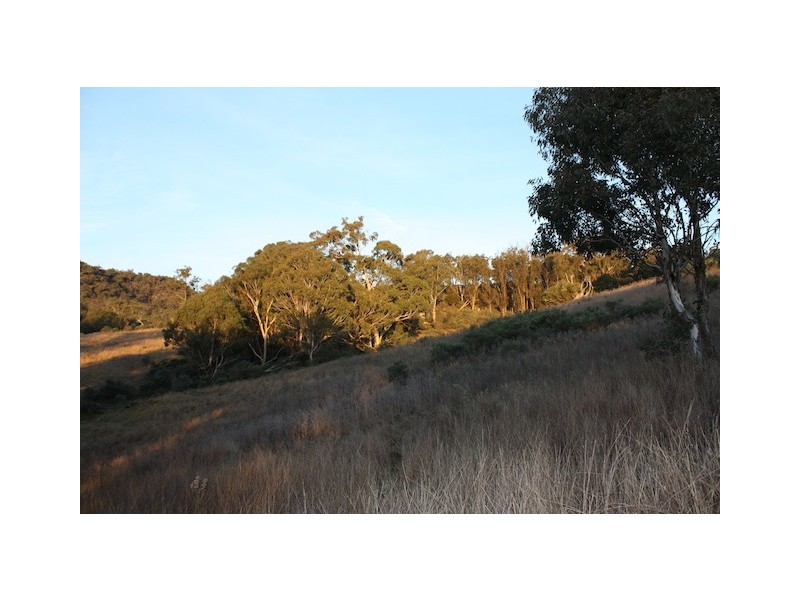 Lot 8/60 Megalong Lane, Canyonleigh NSW 2577