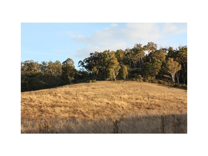 Lot 8/60 Megalong Lane, Canyonleigh NSW 2577