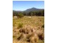 The Mernot Mernot Access Road, Gloucester NSW 2422