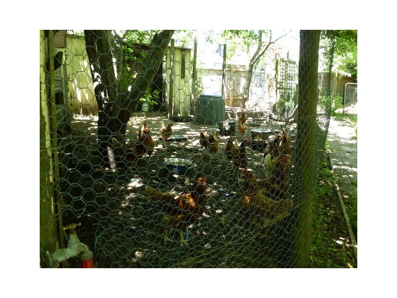 101-105 Railway Avenue, Bundanoon NSW 2578