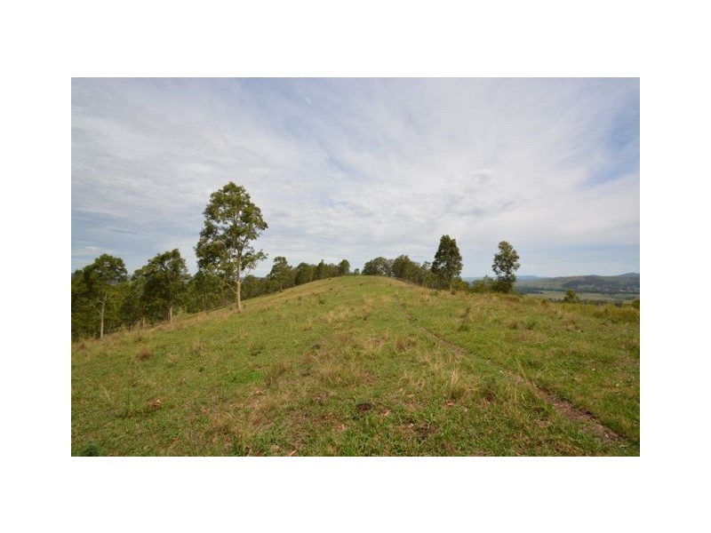 246 Alison Road, Dungog NSW 2420