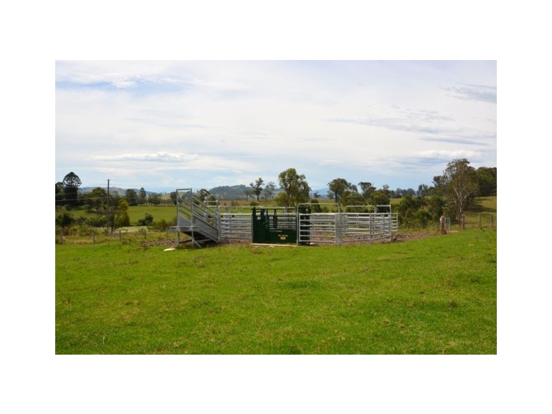 246 Alison Road, Dungog NSW 2420