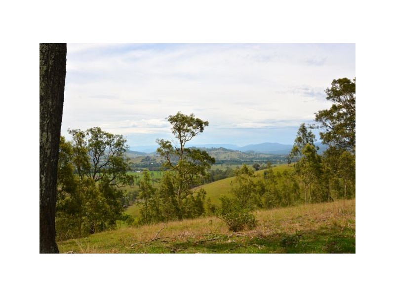 246 Alison Road, Dungog NSW 2420