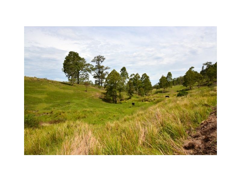 246 Alison Road, Dungog NSW 2420