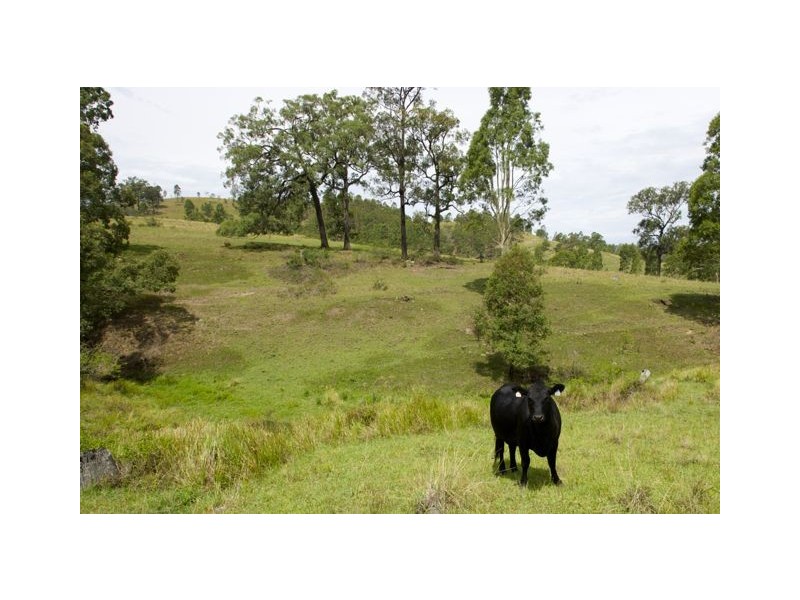 246 Alison Road, Dungog NSW 2420