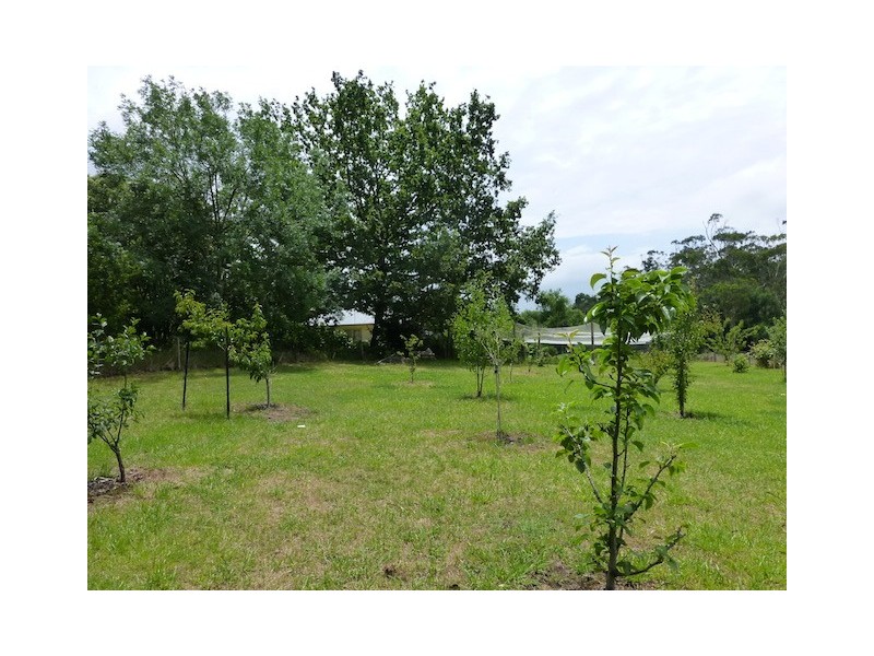 8 Ferndale Road, Bundanoon NSW 2578