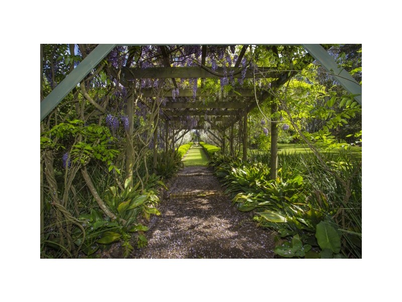 8 Bangalay Close, Brandy Hill NSW 2324