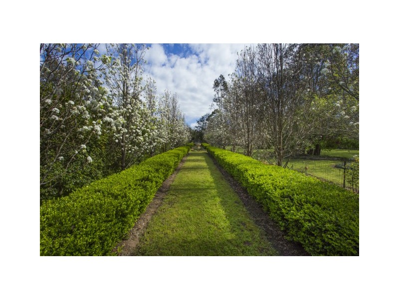 8 Bangalay Close, Brandy Hill NSW 2324