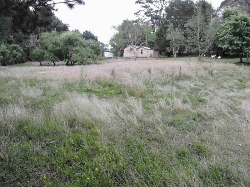 211 Merrigang Street, Bowral NSW 2576